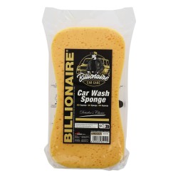 EPONGE DE LAVAGE 30*13*6CM BILLIONAIRE