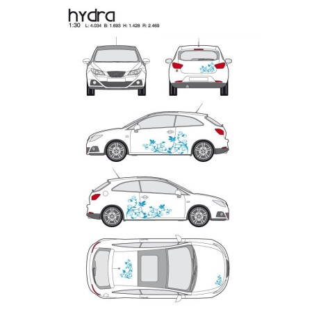 CAR DECO KIT HYDRA M BLEU - FDS