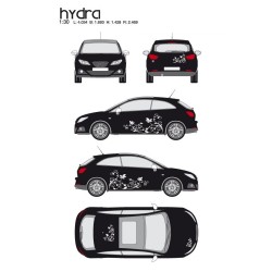 CAR DECO KIT HYDRA M BLANC - FDS