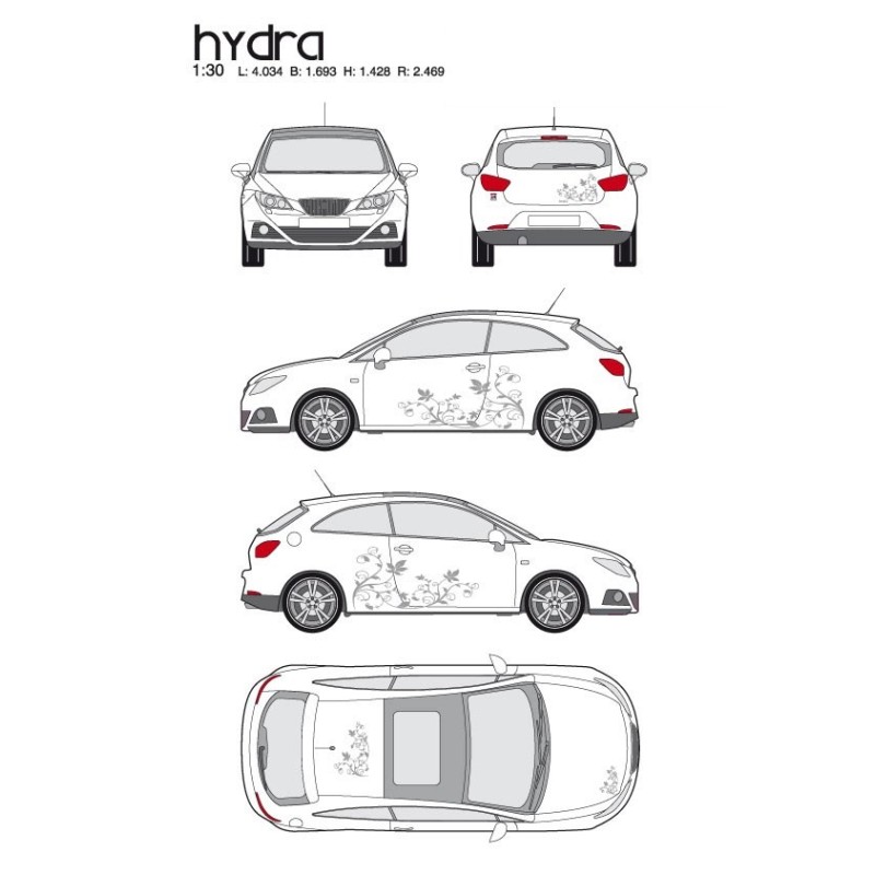 CAR DECO KIT HYDRA M ARGENT - FDS