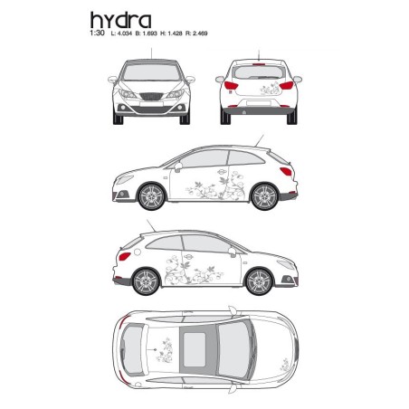 CAR DECO KIT HYDRA M ARGENT - FDS