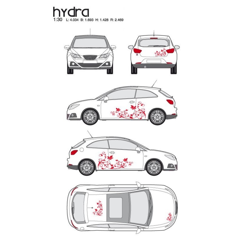 CAR DECO KIT HYDRA M ROUGE - FDS