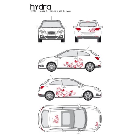 CAR DECO KIT HYDRA M ROUGE - FDS