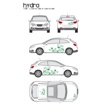 CAR DECO KIT HYDRA M VERT - FDS
