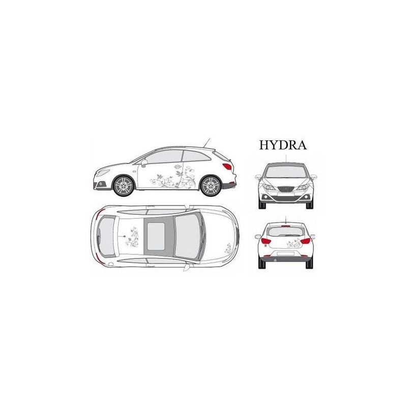 CAR DECO KIT HYDRA S ARGENT - FDS