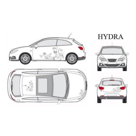 CAR DECO KIT HYDRA S ARGENT - FDS