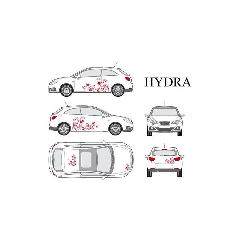 CAR DECO KIT HYDRA S ROUGE - FDS