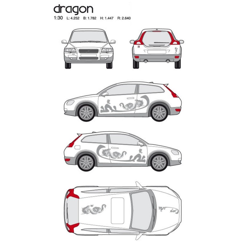 CAR DECO KIT DRAGON TAILLE M ARGENT-FDS