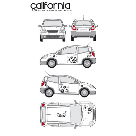 CAR DECO KIT CALIFORNIA TAILLE M NOIR - FDS