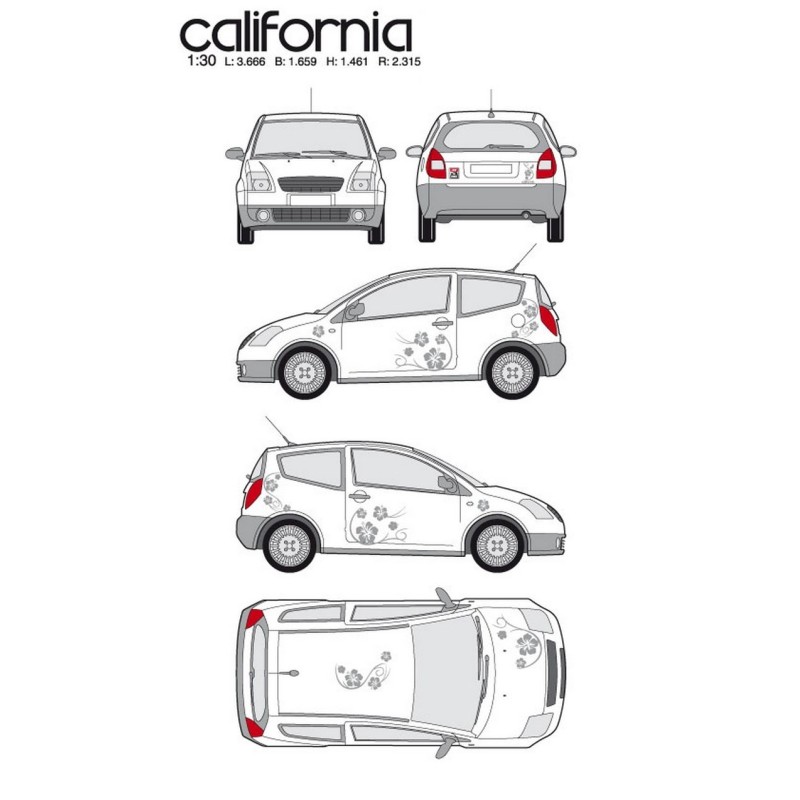 CAR DECO KIT CALIFORNIA TAILLE M ARGENT - FDS