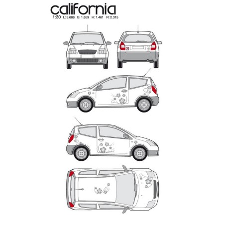 CAR DECO KIT CALIFORNIA TAILLE M ARGENT - FDS