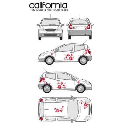 CAR DECO KIT CALIFORNIA TAILLE M ROUGE - FDS