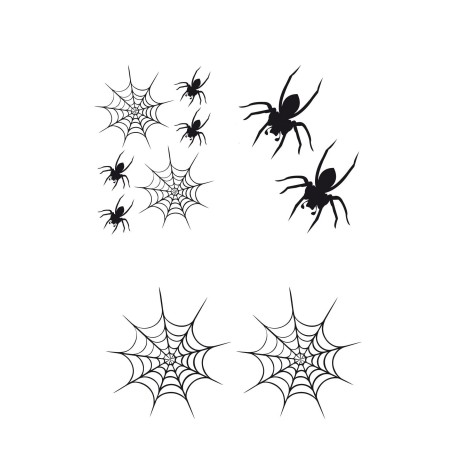 CAR DECO ELEMENT SPIDER NOIR -FDS