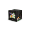 DISPLAY SACHET HOME LINE - 20 SACHETS 5 PARFUMS - MSDS - SCT