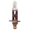 BOITE 1 AMPOULE 12V. H1 55W. P145S